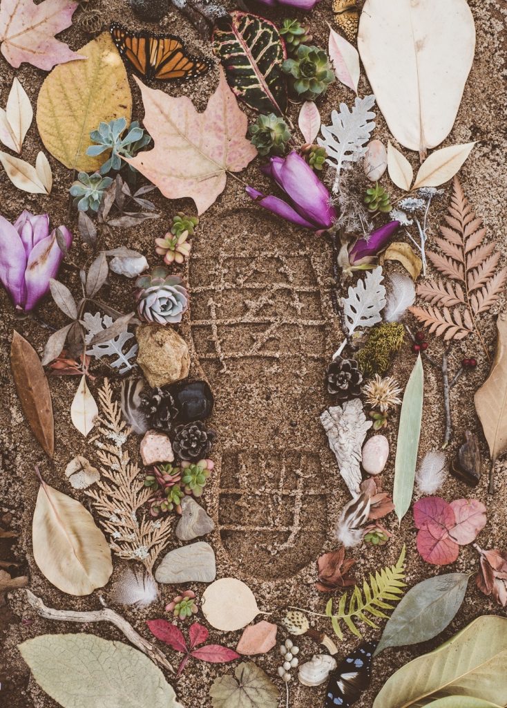 footprint on dirt surrounded by leaves and shells