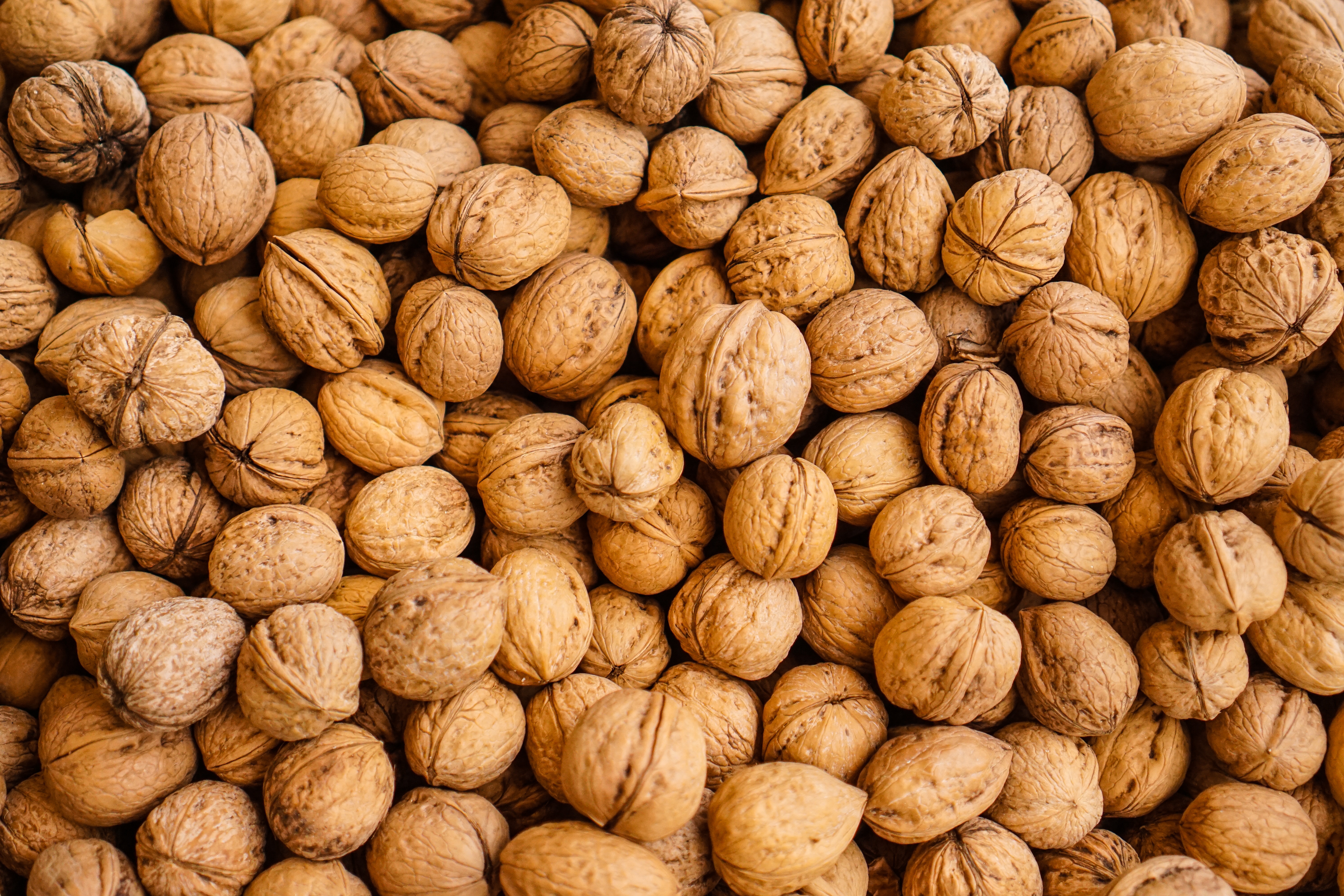 walnuts are a source of vegan protein