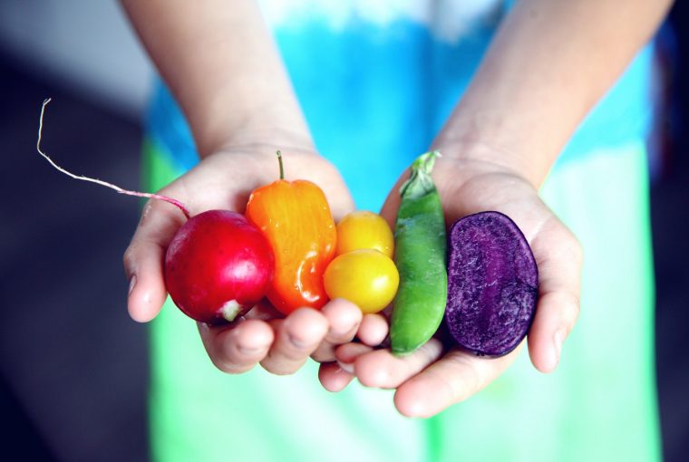 hands holding colorful veggies