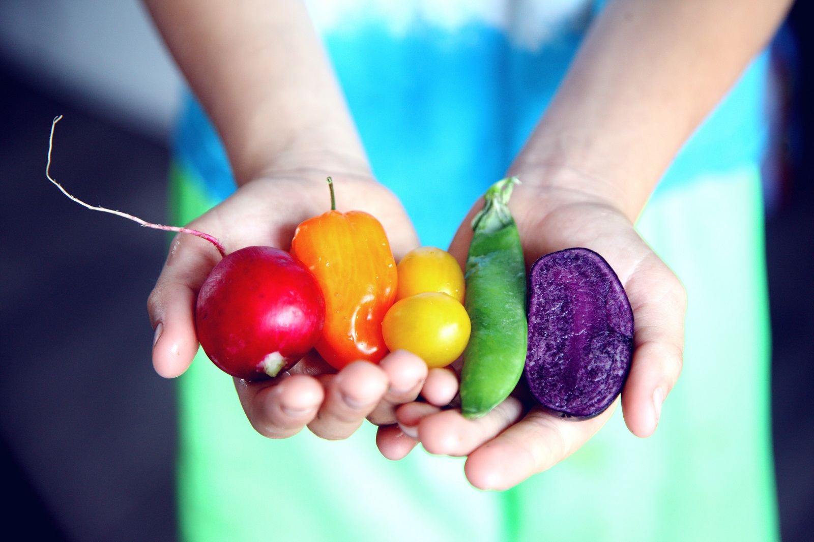 hands holding colorful veggies
