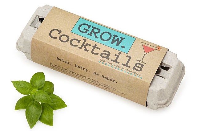 herb growing kit in recycled egg carton