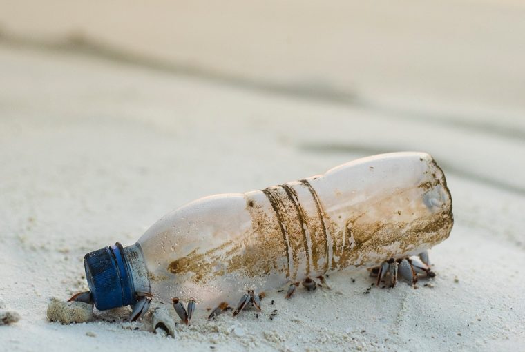 Plastic pollution - plastic bottle on a beach