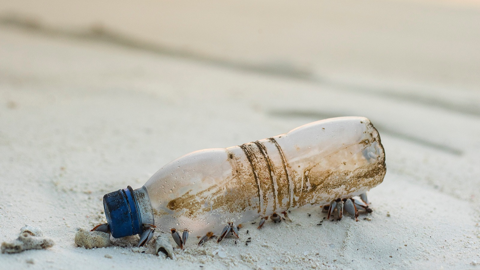 Plastic pollution - plastic bottle on a beach
