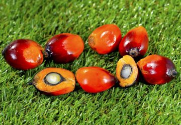 How to reduce palm oil use