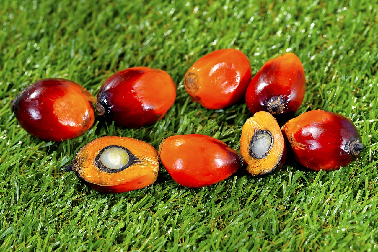 How to reduce palm oil use
