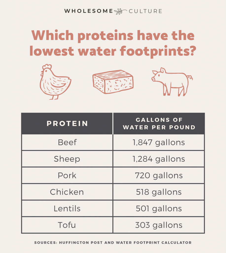 Infographic water use for different types of protein 