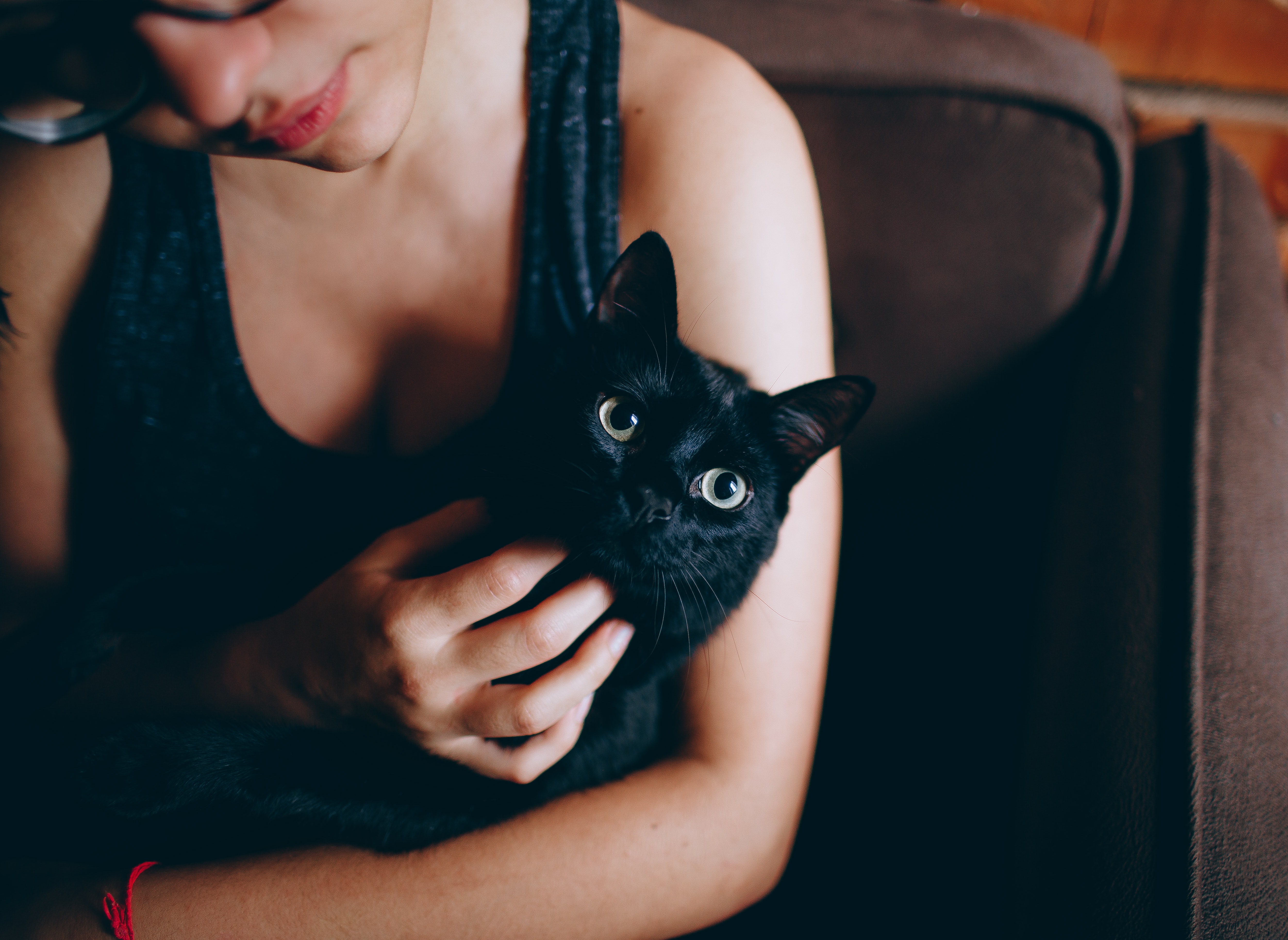 black cat awareness