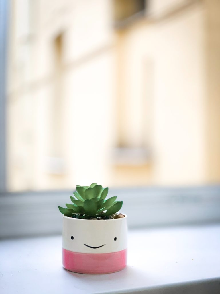 smiling planter