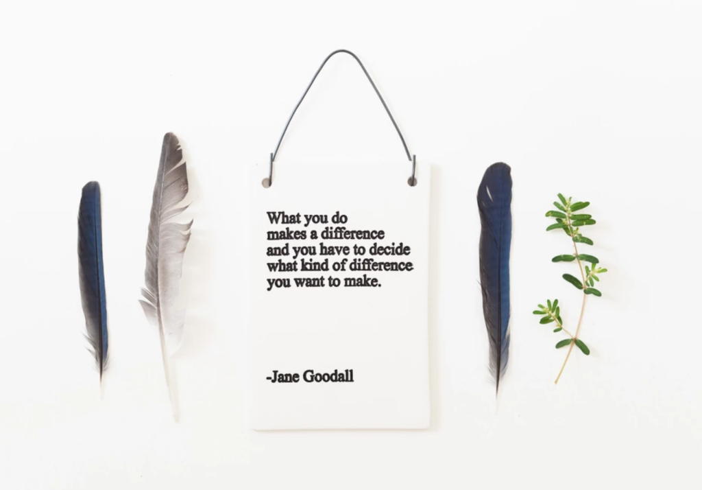 Jane Goodall Quote Plaque