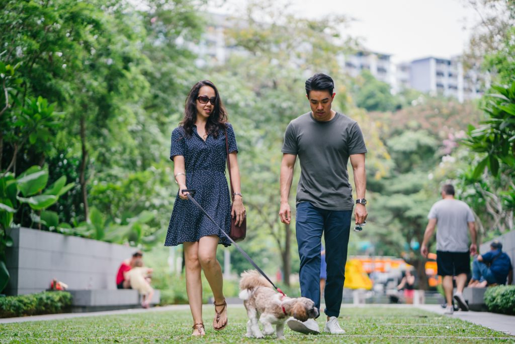 couple walking a dog 