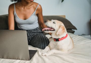 pet and owner spending quality time together during national pet week