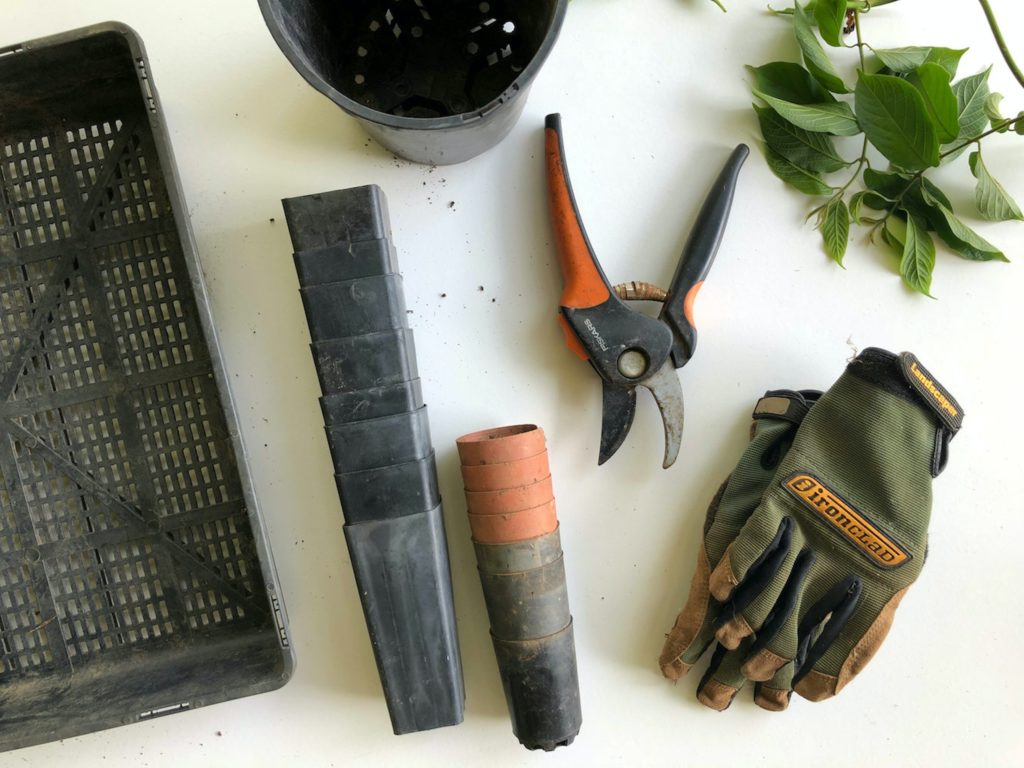essential gardening tools - glove, shears, pots